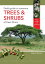 Field Guide to Common Trees & Shrubs of East Africa