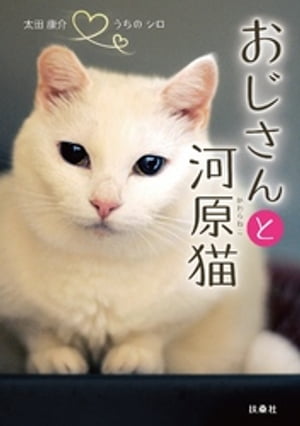 おじさんと河原猫