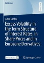 Excess Volatility in the Term Structure of Interest Rates, in Share Prices and in Eurozone Derivatives【電子書籍】 Amia Santini