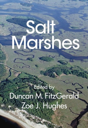 Salt Marshes Function, Dynamics, and StressesŻҽҡ