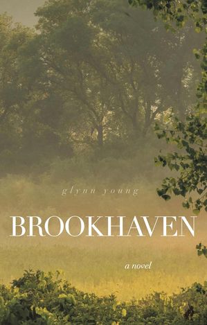 ŷKoboŻҽҥȥ㤨Brookhaven: a novelŻҽҡ[ Glynn Young ]פβǤʤ1,700ߤˤʤޤ