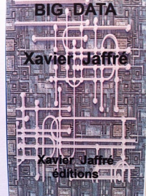 ŷKoboŻҽҥȥ㤨Big DataŻҽҡ[ xavier jaffr? ]פβǤʤ134ߤˤʤޤ