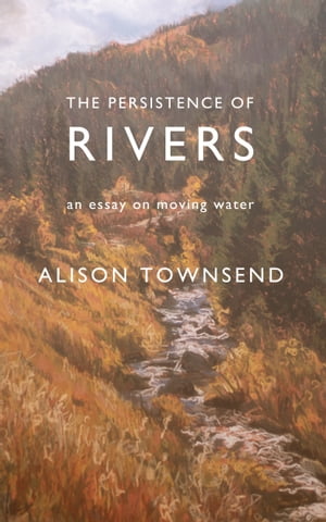 The Persistence of Rivers