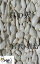 貝の火[縦書き版]【電子書籍】[ 宮沢 賢治 ]