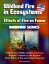 Wildland Fire in Ecosystems: Effects of Fire on Fauna (Rainbow Series) - Wildfires and Wildlife, Habitat, Succession, Regional Variation in Fire Regimes, Direct Effects of Fire and Animal Responses