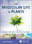 The Molecular Life of Plants