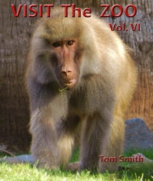 ŷKoboŻҽҥȥ㤨Visit the Zoo, vol. VIŻҽҡ[ Frederick Fichman ]פβǤʤ261ߤˤʤޤ