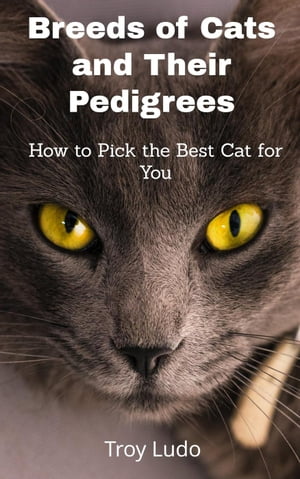 Breeds of Cats and Their Pedigrees: How to Pick the Best Cat for You