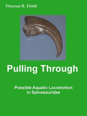 Pulling Through - Possible Aquatic Locomotion in Spinosauridae