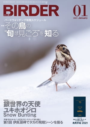 ＜p＞日本で唯一の本格的バードウォッチングマガジン、BIRDER（バーダー）。野鳥グラビア、探鳥地情報、生態・識別・環境保全・観察アイテム・グッズなど、鳥を知り、環境について考えるための記事が満載！＜/p＞ ＜p＞1年の計は元旦にあり。その月ごとの旬の野鳥観察を取り入れた、年間のバードウォッチング計画を立ててみよう！＜br /＞ 今号の特集では、12ヶ月各々の月に主に見られる野鳥のほか、その月（時期）に見られる野鳥の生態などを紹介。自宅近隣のおなじみの場所のほかにも、渡り鳥を見るために遠征してみたり、季節背景やロケーションを考慮してのバードウォッチングも楽しいはず。参考になるベテランバードウォッチャーの年間計画も掲載！＜/p＞ ＜p＞電子版では特別付録「鳥見手帖2021」は電子化して巻末に収録しています。＜/p＞画面が切り替わりますので、しばらくお待ち下さい。 ※ご購入は、楽天kobo商品ページからお願いします。※切り替わらない場合は、こちら をクリックして下さい。 ※このページからは注文できません。