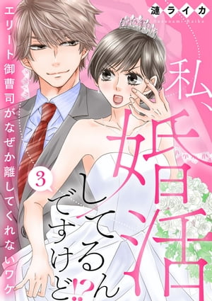 私、婚活してるんですけど!?〜エリート御曹司がなぜか離してくれないワケ〜3