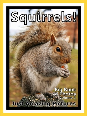 Just Squirrel Photos! Big Book of Photographs & Pictures of Squirrels, Vol. 1