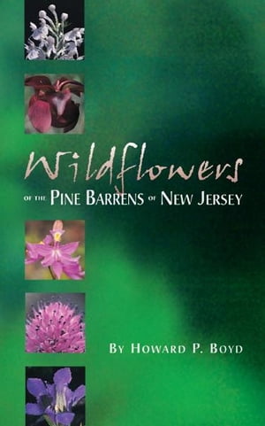 Wildflowers of the Pine Barrens of New Jersey