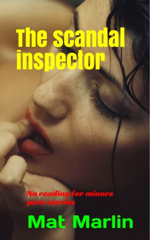 The scandal inspector
