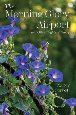 The Morning Glory Airport and Other Flights of Fancy