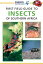 First Field Guide to Insects of Southern Africa