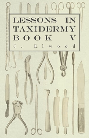Lessons in Taxidermy - A Comprehensive Treatise on Collecting and Preserving all Subjects of Natural History - Book V.【電子書籍】 J. Elwood
