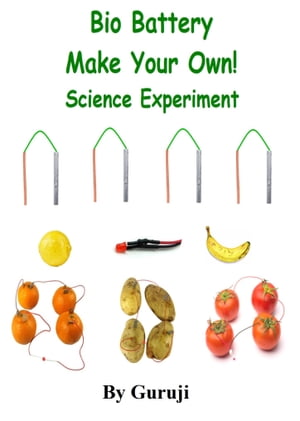 Bio Battery Science Experiment Make Your Own battery