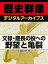 文禄・慶長の役への野望と亀裂