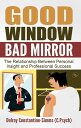 Good Window Bad Mirror The Relationship Between Personal Insight and Professiona...