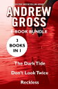 The Andrew Gross The Dark Tide, Don 039 t Look Twice, and Reckless【電子書籍】 Andrew Gross