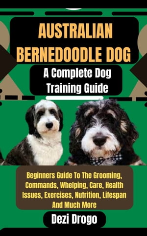 Australian Bernedoodle Dog A Complete Dog Traini