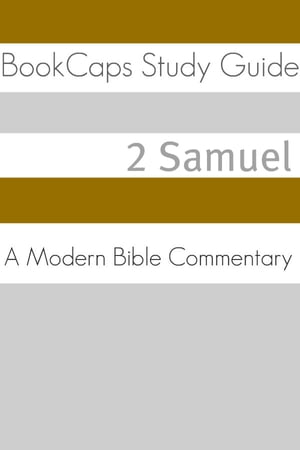 2 Samuel: A Modern Bible Commentary