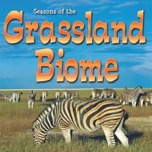 Seasons Of The Grassland Biome