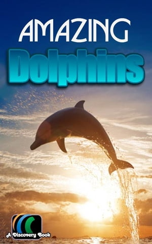 Amazing Dolphins: A Discovery Book