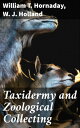 ŷKoboŻҽҥȥ㤨Taxidermy and Zoological Collecting A Complete Handbook for the Amateur Taxidermist, Collector, Osteologist, Museum-Builder, Sportsman, and TravellerŻҽҡ[ W. J. Holland ]פβǤʤ300ߤˤʤޤ