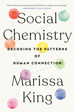 Social Chemistry Decoding the Patterns of Human Connection