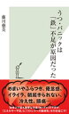 うつ・パニックは「鉄」不足が原因だった【電子書籍】[ 藤川徳美 ]