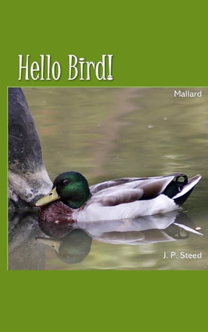 Mallard