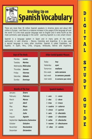 Spanish Vocabulary (Blokehead Easy Study Guide)