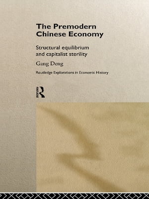 The Premodern Chinese Economy