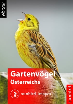 Gartenvögel Österreichs - Vögel Erkennen, Bestimmen und Schützen