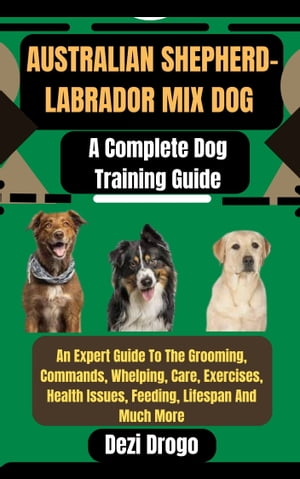 Australian Shepherd-Labrador Mix Dog A Complete 