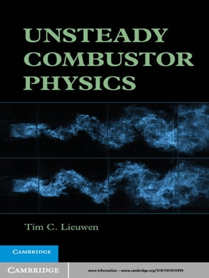 Unsteady Combustor Physics