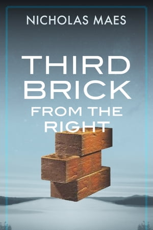 Third Brick from the RightŻҽҡ[ Nicholas Maes ]