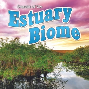 Seasons Of The Estuary Biome