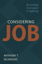 Considering Job Reconciling Sovereignty and Suffering