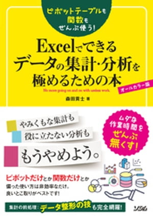 ピボットテーブルも関数もぜんぶ使う！Excelでできるデータの集計・分析を極めるための本