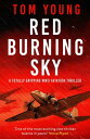 Red Burning Sky A totally gripping WWII aviation