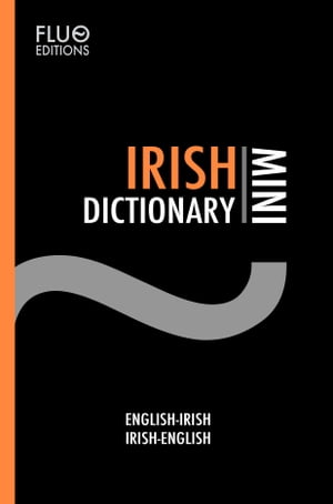 Irish Mini Dictionary