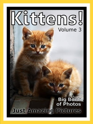 Just Kitten Photos! Big Book of Photographs & Pictures of Baby Cats & Cat Kittens, Vol. 3