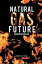 Natural Gas Future A World Without OilŻҽҡ[ Richard L. Itteilag ]