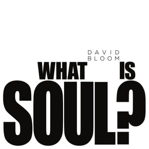 What Is Soul?【電子書籍】[ David Bloom ]