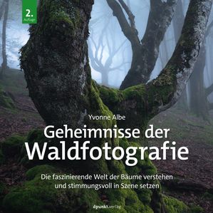 Geheimnisse der Waldfotografie Die faszinierende Welt der B?ume verstehen und stimmungsvoll in Szene setzen