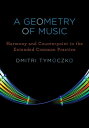 A Geometry of Music Harmony and Counterpoint in the Extended Common Practice