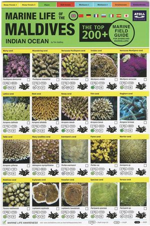 Maldives Marine Life Field Guide “Top 200+”